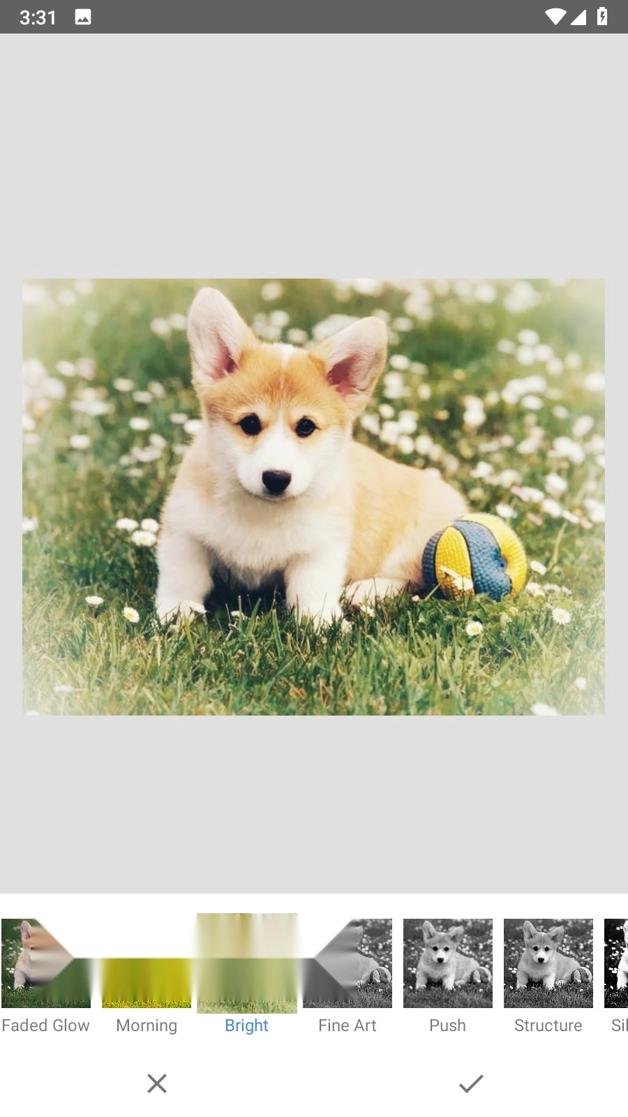 snapseed谷歌版(4)