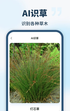 AI智能助手安卓版图3
