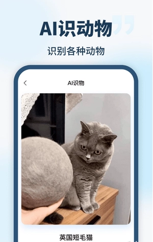 AI智能助手安卓版图2