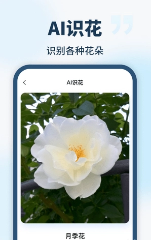AI智能助手安卓版图4