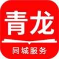 掌上青龙直装版