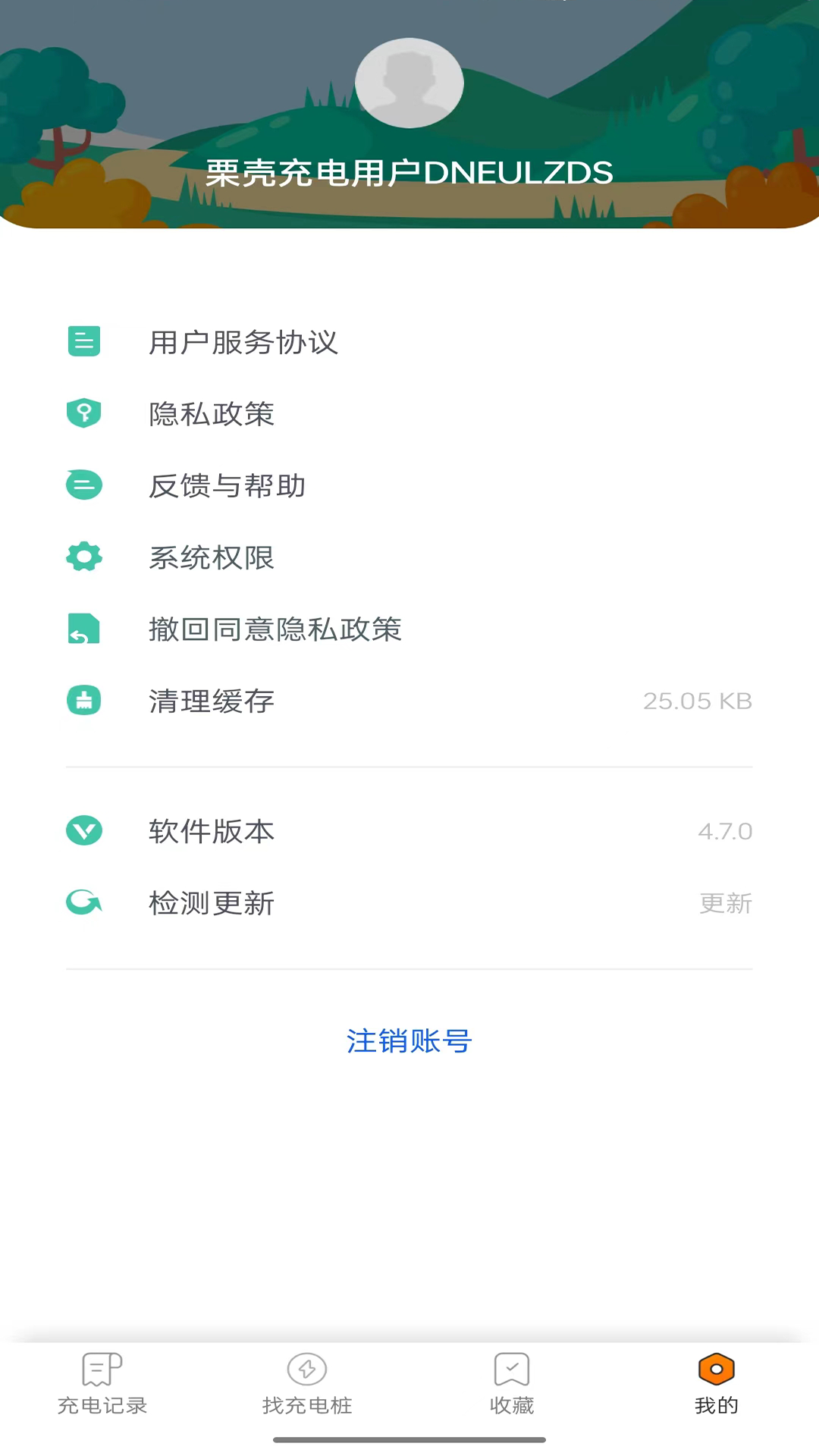 栗壳充电正版图5