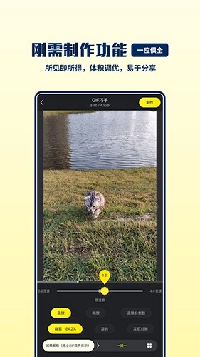 GIF巧手手机版图2