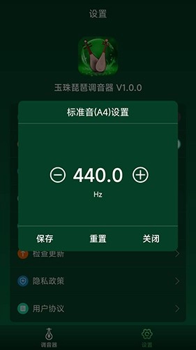 玉珠琵琶调音器最新免费版图2