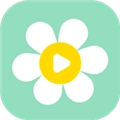 雏菊影视安卓直装版