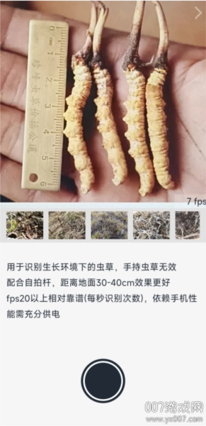 乐见虫草最新免费版