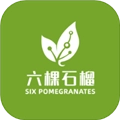 六棵石榴最新免费版