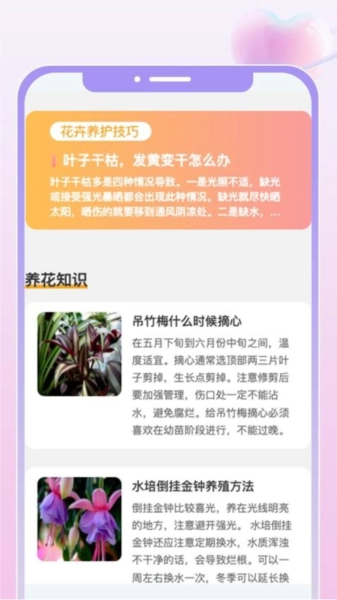 花汇趣看免费原版图2