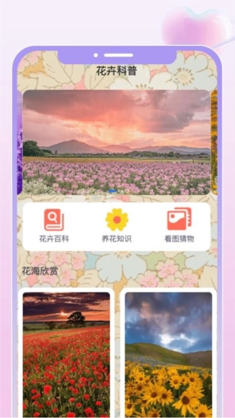花汇趣看免费原版图3
