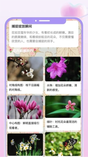 花汇趣看免费原版图4