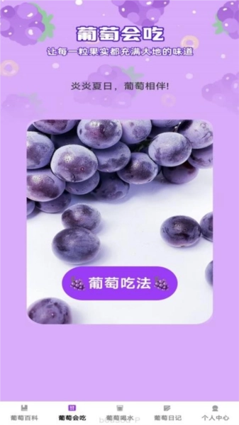 葡萄乐刷正版图3