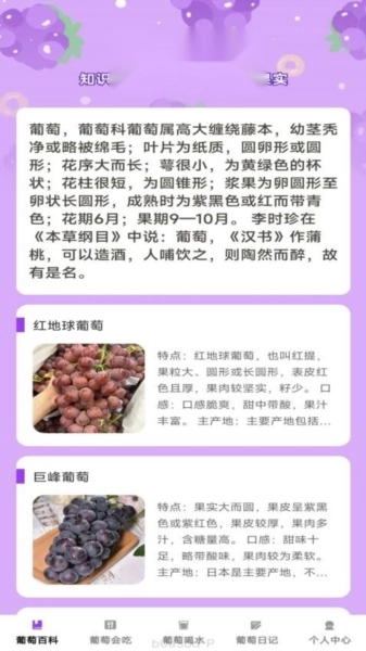 葡萄乐刷正版图4