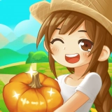 幸福小农院赚钱