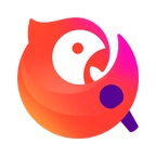 全民k歌vip永久安卓版