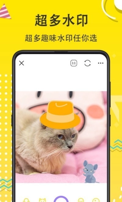 宠物Cam手机正版图2