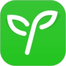 沪江网校安卓免费版