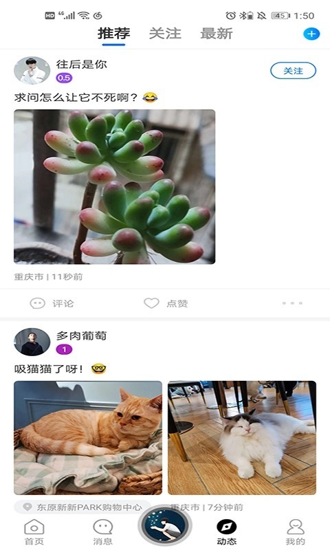 基多多截图2