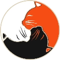 野猫助手