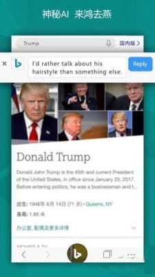 微软必应国际版3