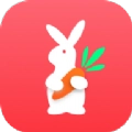 兔子优选安卓版