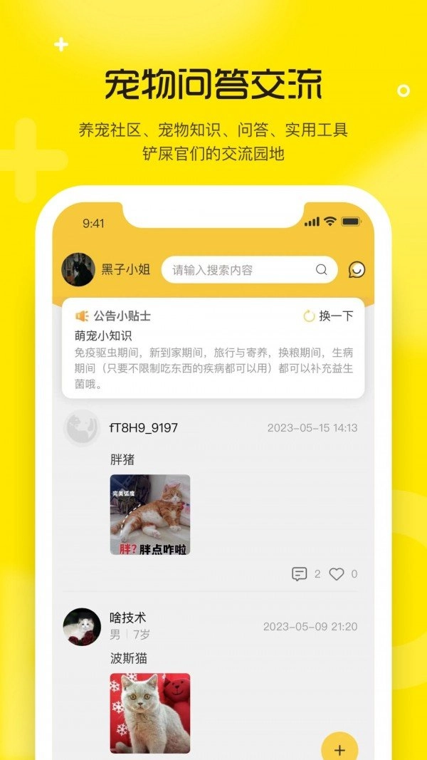 宠宝最新版图4