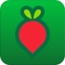 叮咚买菜直装版