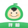 胖柚通用版