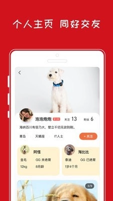 小奇智宠安卓官方版