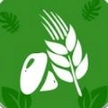 大华农贸通用版
