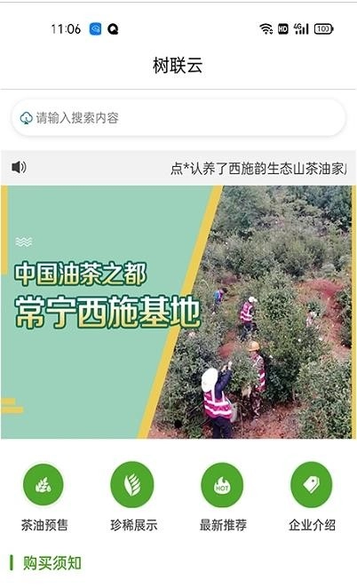 树联云网最新免费版