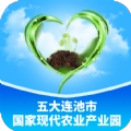 连池豆种手机最新版