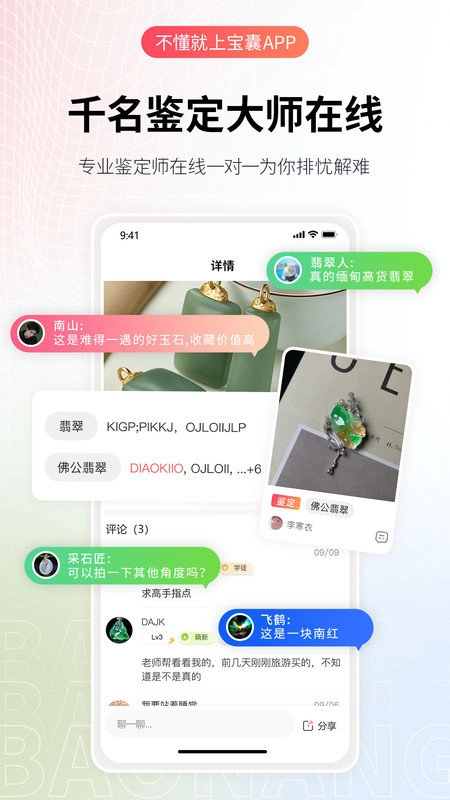 宝囊官方正版图2