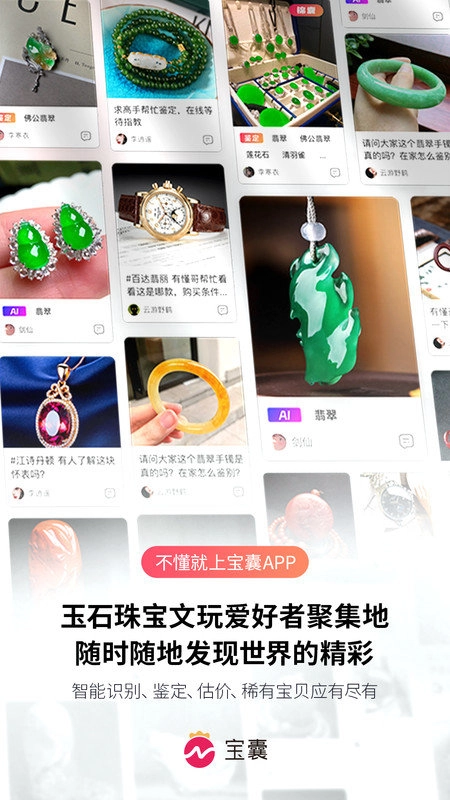 宝囊官方正版图3