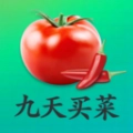 九天买菜原版
