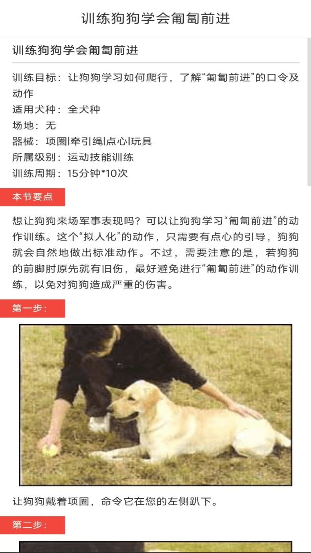 动物对话翻译器安卓免费版图2