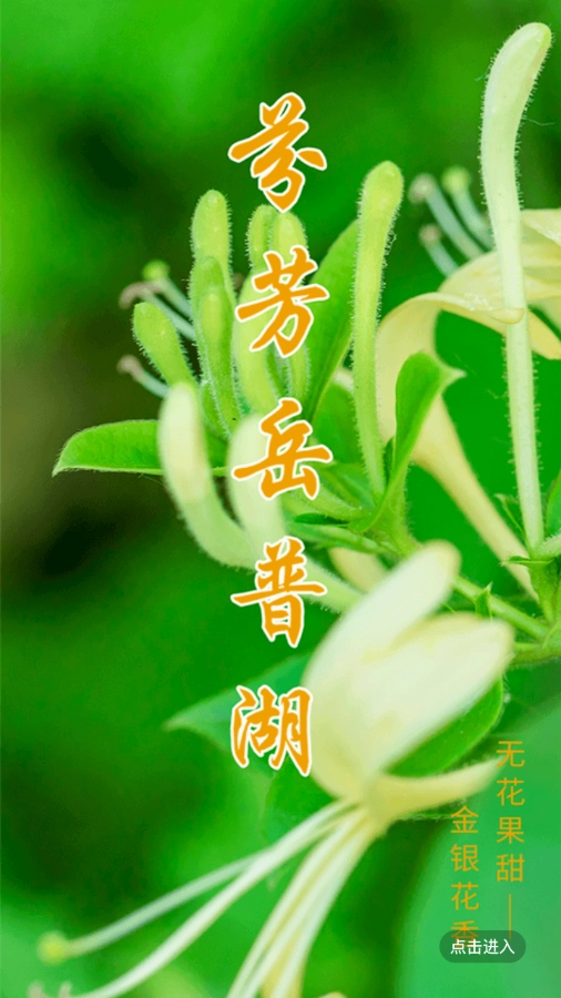 岳普湖好地方安卓官方版