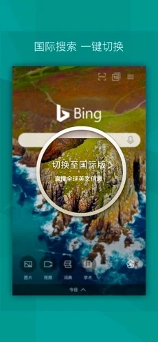 必应搜索原版图3