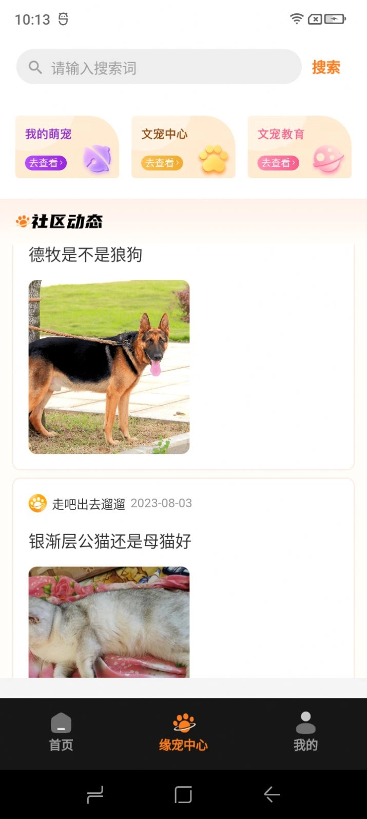 缘宠安卓版