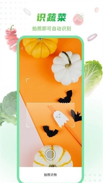 有机蔬菜手机版图3