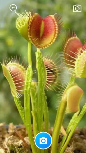 家乐全能工具箱手机免费版