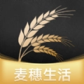 麦穗生活手机最新版