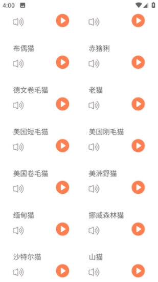 仓鼠翻译器(1)