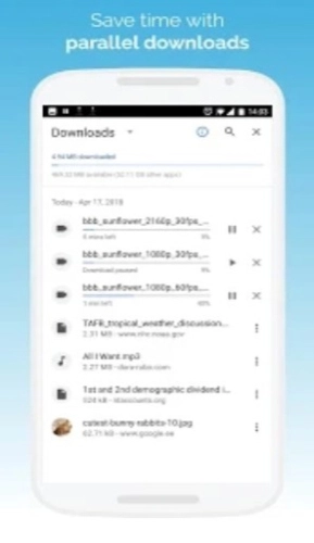 KiwiBrowser官方版图1