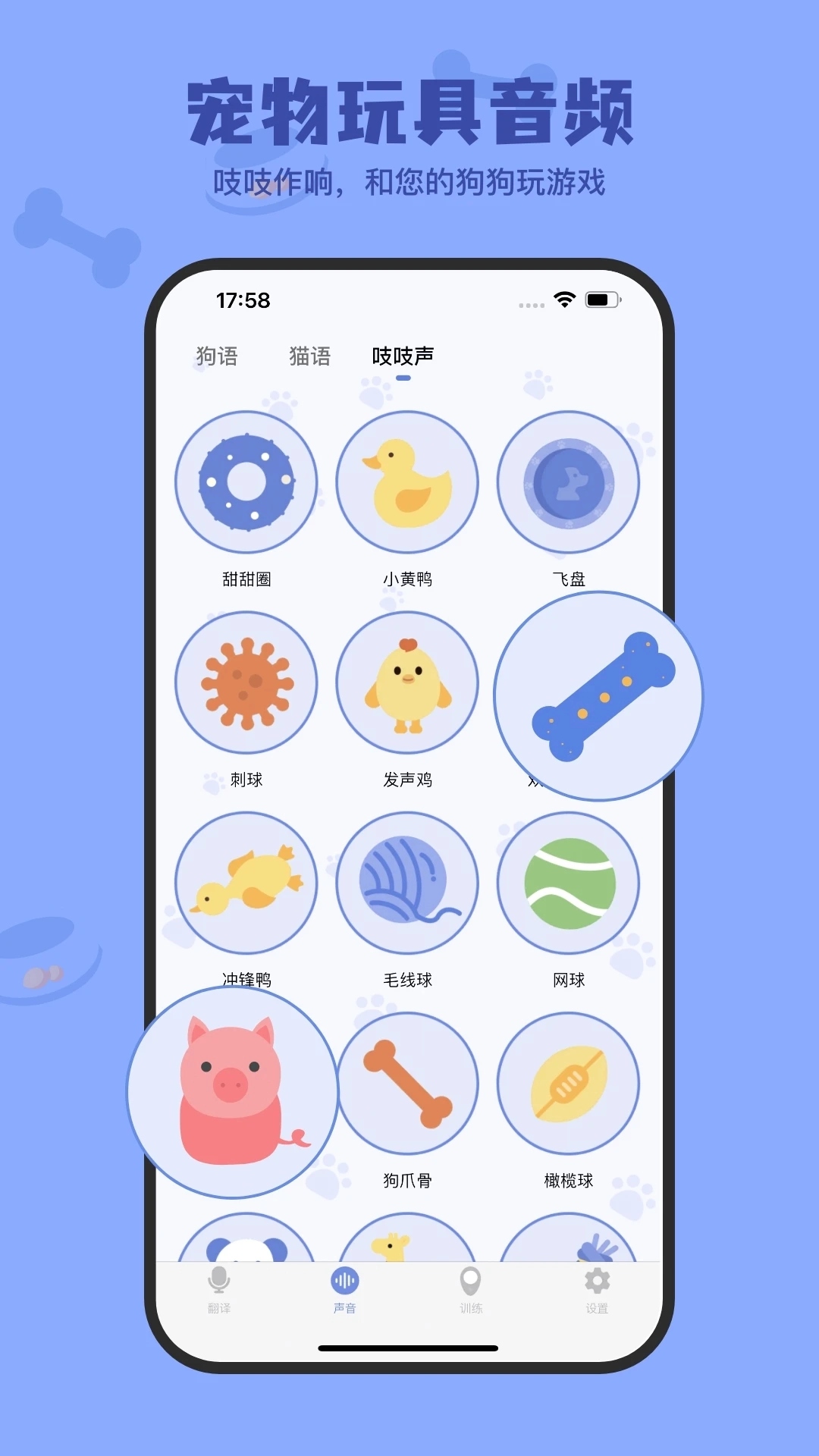 小白交流翻译通用版