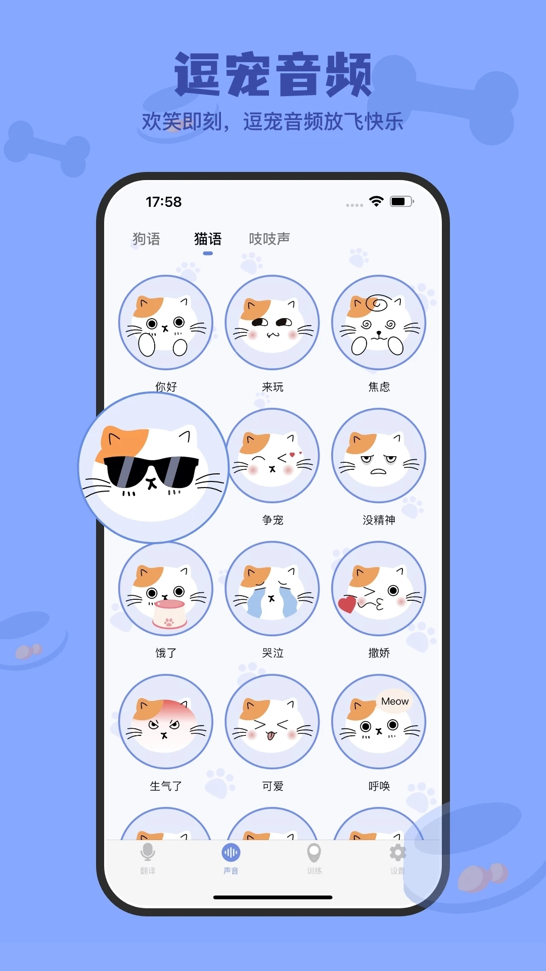 小白交流翻译通用版