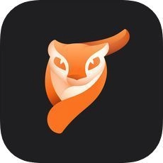 Motionleap手机正版