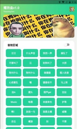 耀扬盒安卓直装版(1)