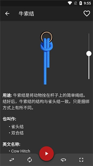 knots3D直装版