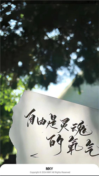 Mxy正版图4