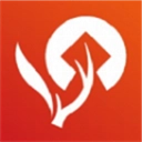 柴鹿官方最新版